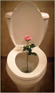 toilet with rose flower