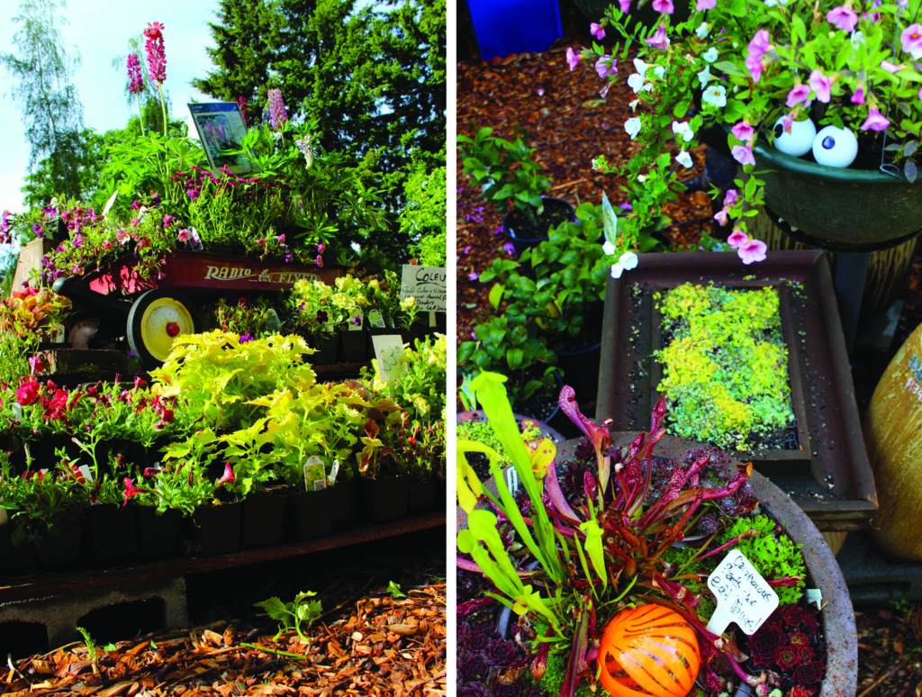 Salvage Garden Fun at Village Green Nursery The RE Store