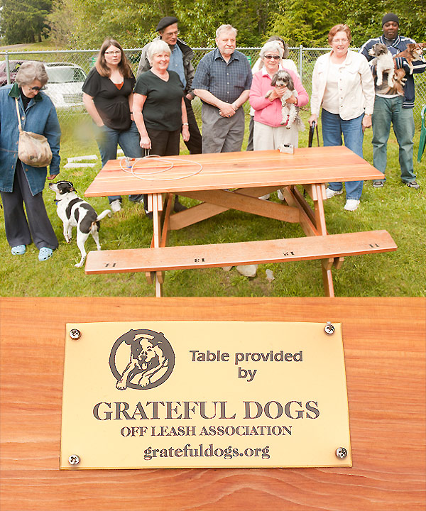 Dog Park Bench and members of Grateful Dogs Off Lease Association