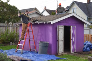 shed removal services