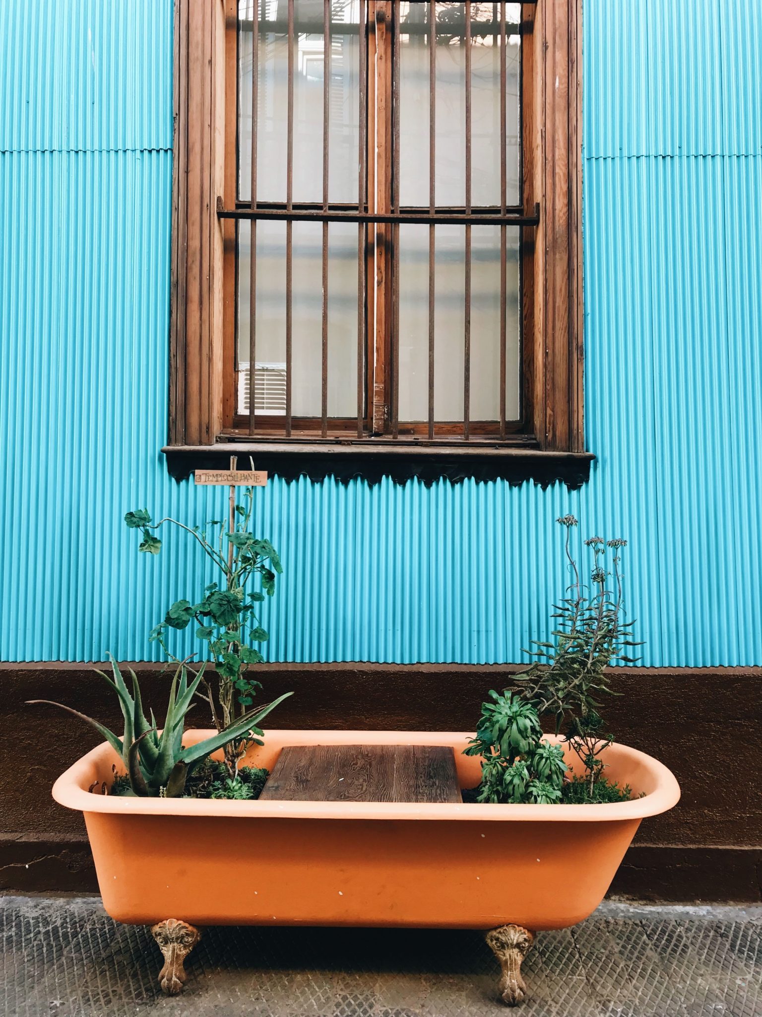 Clawfoot Tub Planter | How to Turn a Bathtub Into a Planter