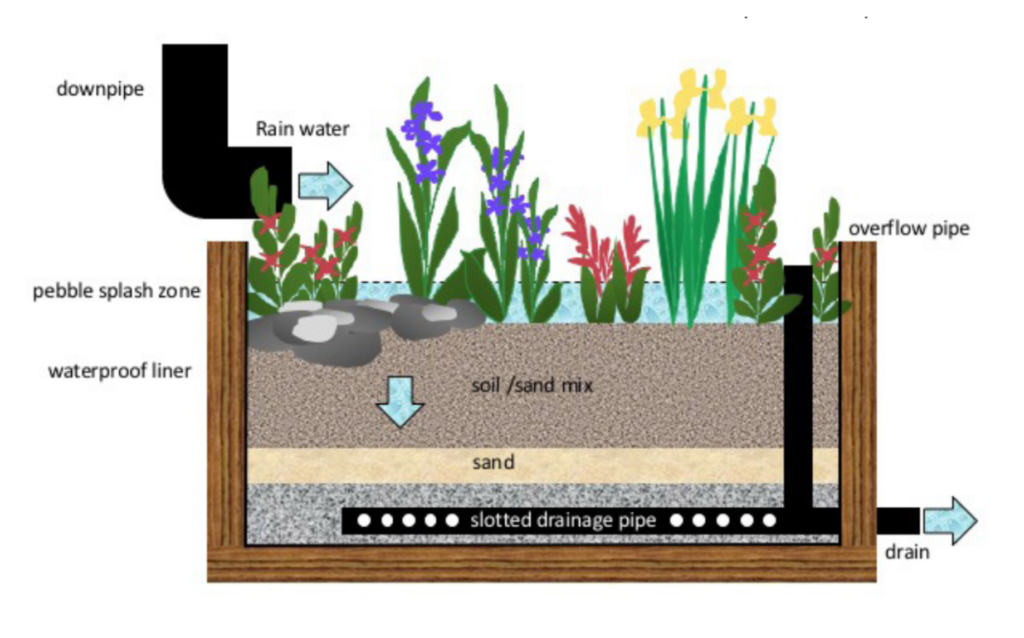 Rain Garden In a Box! | The RE Store